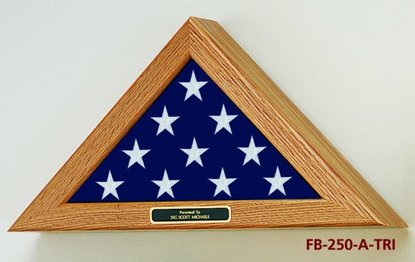 FB-250-A-TRI